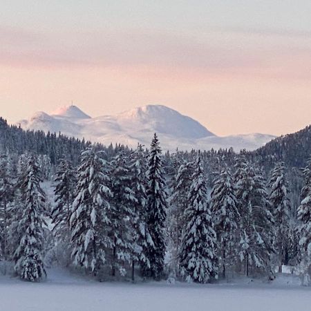 Вілла Tuddal Hyttegrend, Gamlestugu, Telemark Екстер'єр фото