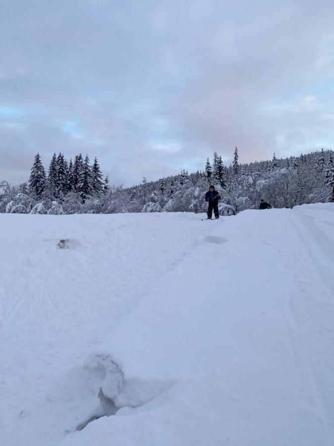 Вілла Tuddal Hyttegrend, Gamlestugu, Telemark Екстер'єр фото