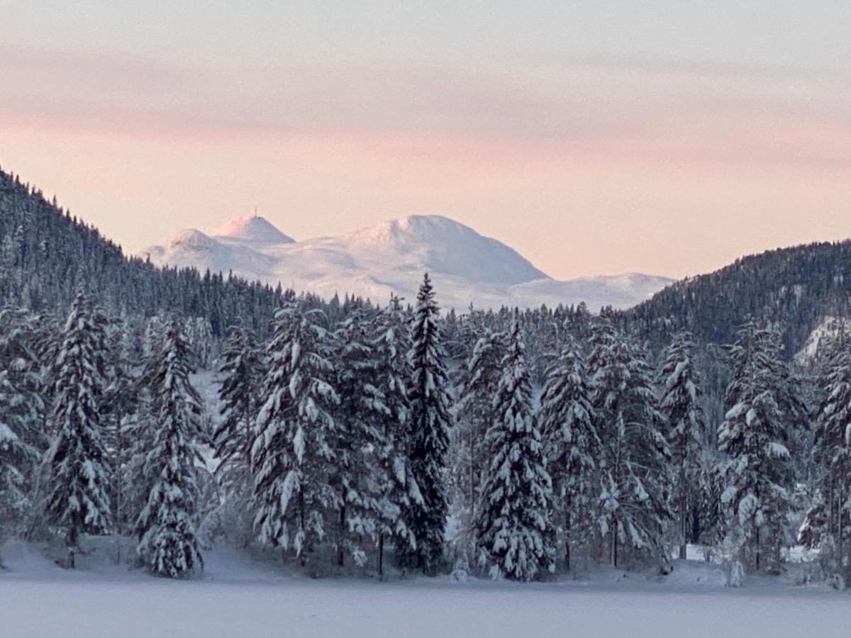 Вілла Tuddal Hyttegrend, Gamlestugu, Telemark Екстер'єр фото